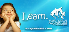 Host your next event at the North Carolina Aquarium on Roanoke Island.