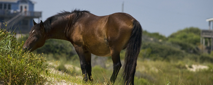 slider_sample4.jpg
