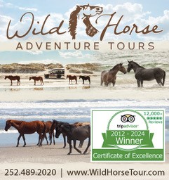 Wild Horse Adventure Tours of Corolla